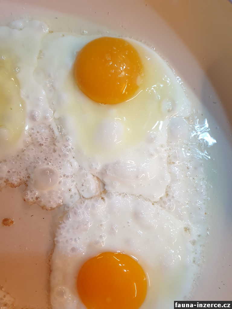 Domácí vajíčka 